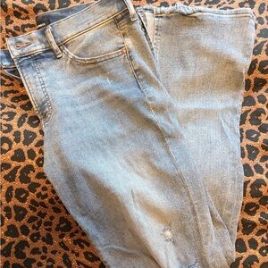 Express Boot Cut Jeans